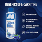L Carnitine Blue Raspberry Flavour