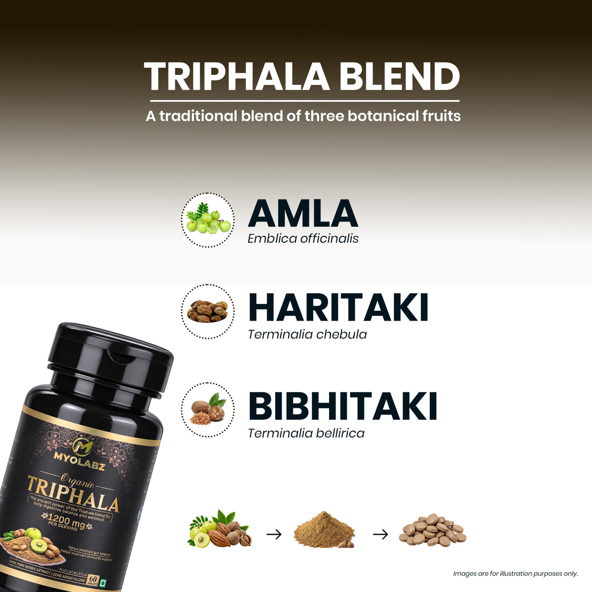 MYOLABZ Organic Triphala Supplement Tablets – 1200 mg Per Serving – USDA Certified Organic – Amalaki, Haritaki & Bibhitaki Herbal Blend for Digestive Wellness & Daily Well-Being – 60 Tablets