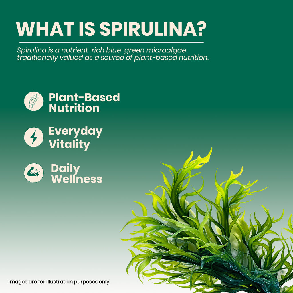 MYOLABZ Organic Spirulina Supplement Tablets – 1200 mg Per Serving – USDA Certified Organic – Natural Superfood for Energy, Immunity & Daily Wellness – 60 Tablets