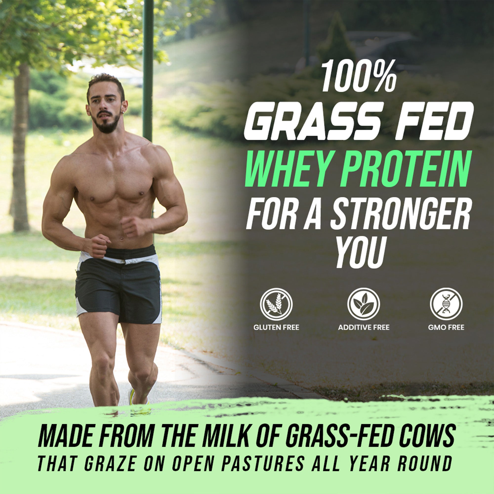 B1 Nutrition Grass-Fed Whey Protein 1.36kg | Isolate Concentrate