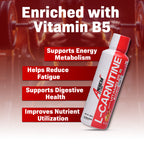 American Fit Labs L-Carnitine Liquid (30 Servings, 450ml) | Mix Fruit / Orange