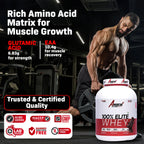 American Fit Labs 100% Elite Whey Protein (2kg) | 60 Servings | Chocolate