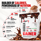 American Fit Labs BioBulk Gainer, Chocolate Almond, 5 kg (25 Servings) | 54g Protein & 3g Creatine per Serving | Whey Mass Gainer with Herbs, Vitamins, Minerals & Digestive Enzymes | 0g Added Sugar