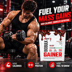 American Fit Labs BioBulk Gainer, Chocolate Almond, 5 kg (25 Servings) | 54g Protein & 3g Creatine per Serving | Whey Mass Gainer with Herbs, Vitamins, Minerals & Digestive Enzymes | 0g Added Sugar