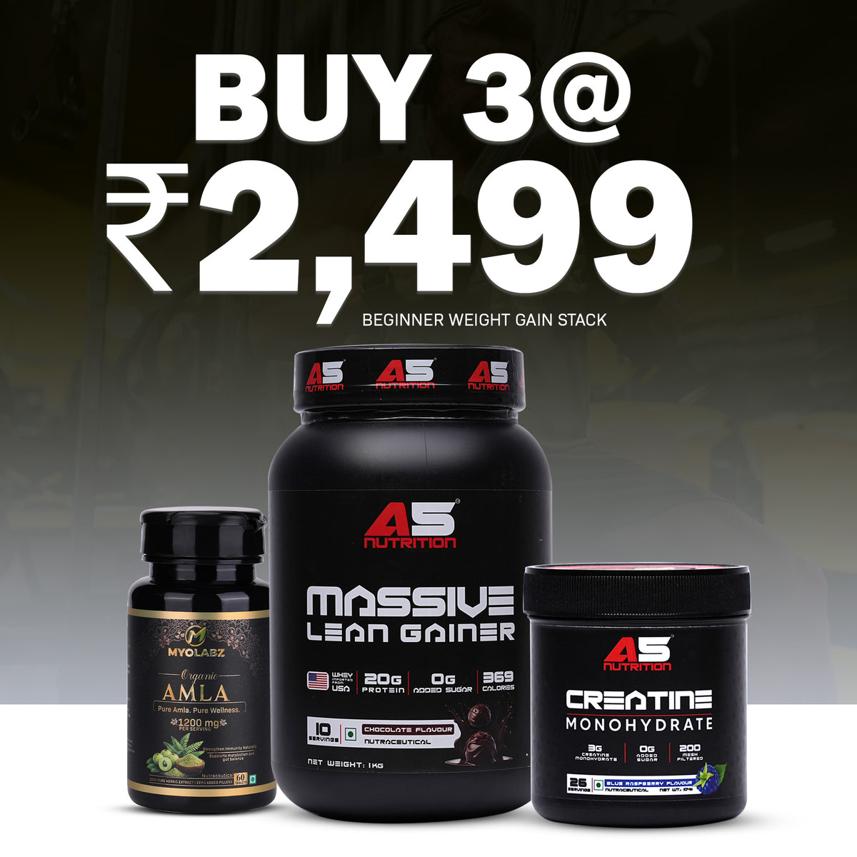 Beginner Weight Gain Stack Pack of 3 – A5 Lean Gainer Chocolate 1 kg, Creatine Blue Raspberry & Amla for Healthy Weight Gain