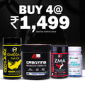 Creatine Starter Stack Pack of 4 – A5 Creatine Blue Raspberry, Multivitamin, Omega-3 & ZMA for Strength & Recovery