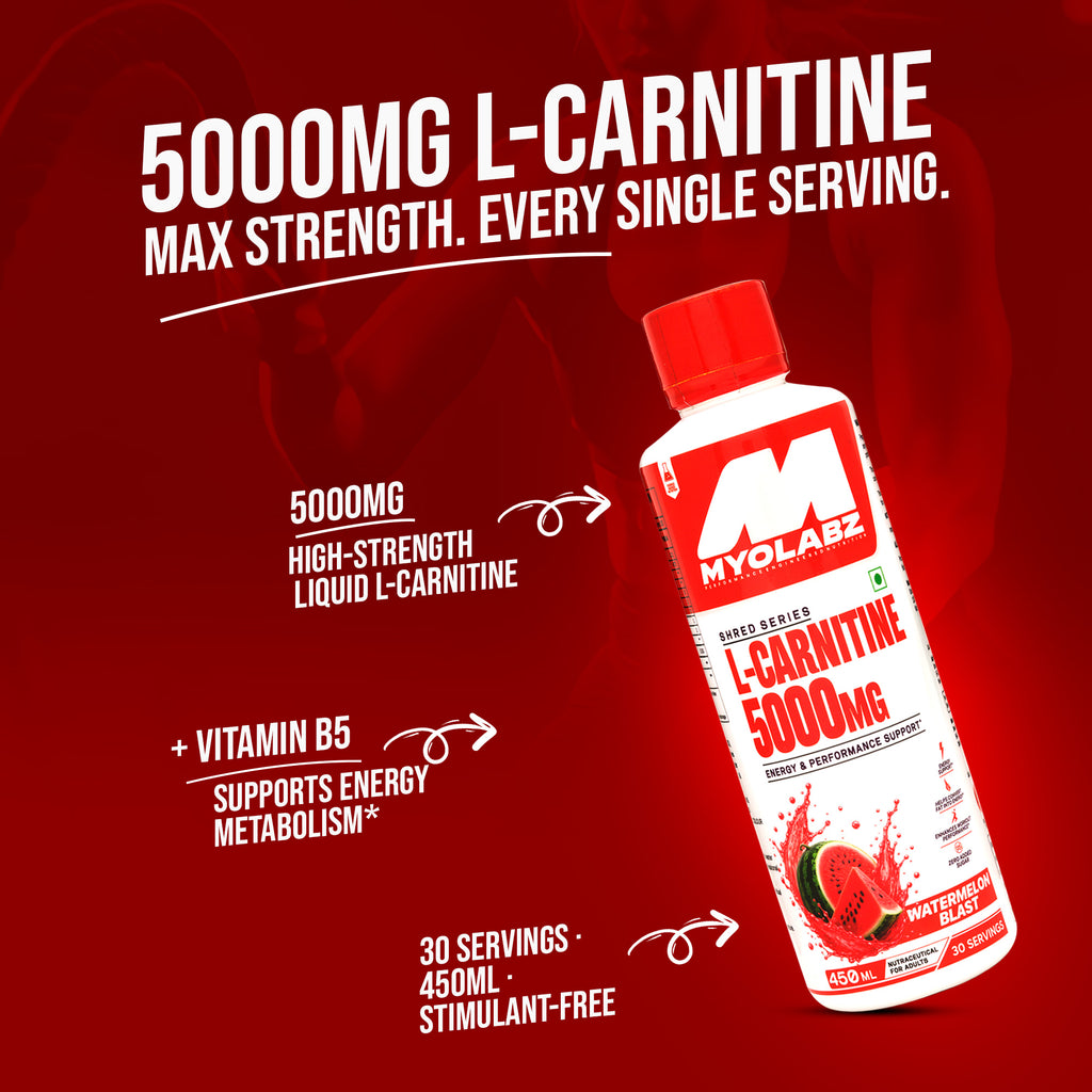 L Carnitine Watermelon Flavour